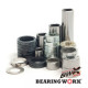 Ремонтний комплект підшипника worx singarm link suzuki rmz 250/450 13-14 (27-1181)