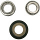 Підшипники головки рами pivot works suzuki rmz 250 '08-11,rmz 450 '08-11,rmx 450z '10