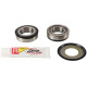 Підшипники кермової головки pivot works yamaha yz 125 '00-11,yz 250 '00-11,yzf 250 '01-11.wrf 250 '01-11,wr 250r '08-11,wr 250x '08-11,wr 400f (yzf250, wr250 f, wr400f, yz125, yz250)