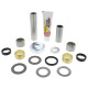 Pivot works singarm remkit yamaha raptor 660 '01-05