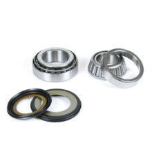 Підшипники головки рами prox з сальниками kawasaki kl/klr 250/600, vn750/800/1500, zx6/zx9, zr7 (22-1009)