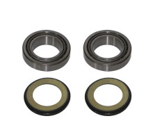 Підшипники рами psychic з сальниками honda crf 250r/450r '09-'12, (22-1059)