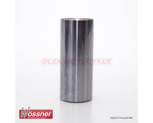 Wossner sworn ( 16x11x56.2)