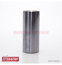 Wossner sworn (16x10x38)
