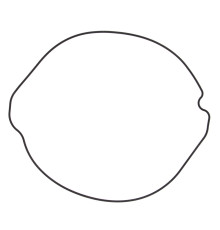 WINDEROSA (VERTEX) Прокладка кришки  ЗЧЕПЛЕННЯ HONDA CR 250 (CR250) 84-01 (ORING) (ZEWN?TRZNA)