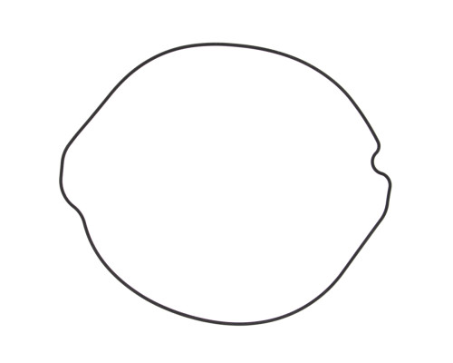 WINDEROSA (VERTEX) Прокладка кришки ЗЧЕПЛЕННЯ HONDA CR 250 (CR250) 84-01 (ORING) (ZEWN?TRZNA)