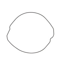 WINDEROSA (VERTEX) Прокладка кришки  ЗЧЕПЛЕННЯ HONDA CR250R (CR 250) 02-07 (ZEWN?TRZNA)