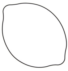 WINDEROSA (VERTEX) Прокладка кришки  ЗЧЕПЛЕННЯ SUZUKI RM 125 (RM125) 92-07 (ORING) (ZEWN?TRZNA)