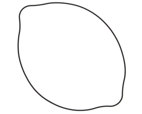 WINDEROSA (VERTEX) Прокладка кришки ЗЧЕПЛЕННЯ SUZUKI RM 125 (RM125) 92-07 (ORING) (ZEWN?TRZNA)