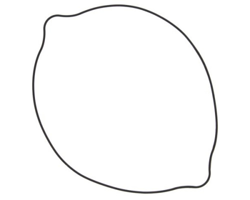 WINDEROSA (VERTEX) Прокладка кришки ЗЧЕПЛЕННЯ SUZUKI RM 250 (RM250) 96-09 (ORING) (ZEWN?TRZNA)