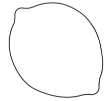 WINDEROSA (VERTEX) Прокладка кришки  ЗЧЕПЛЕННЯ SUZUKI RM 250 (RM250) 96-09 (ORING) (ZEWN?TRZNA)