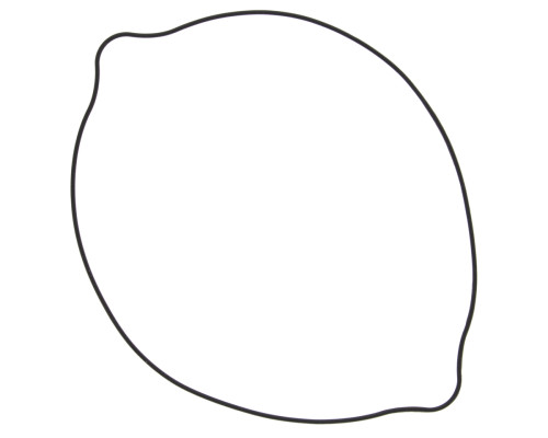 WINDEROSA (VERTEX) Прокладка кришки ЗЧЕПЛЕННЯ SUZUKI RM 250 (RM250) 96-09 (ORING) (ZEWN?TRZNA)