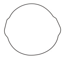 WINDEROSA (VERTEX) Прокладка кришки  ЗЧЕПЛЕННЯ YAMAHA YZ 450F (YZF450,YZ450F)'10-'19, WR 450F 16-18 (ORING) (ZEWN?TRZNA)