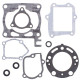 WINDEROSA (VERTEX) Прокладка TOP-END HONDA CR 125 05-07