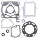 WINDEROSA (VERTEX) Прокладка TOP-END HONDA CR 125 05-07