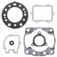 WINDEROSA (VERTEX) Прокладка TOP-END HONDA CR 250 02-03