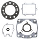 WINDEROSA (VERTEX) Прокладка TOP-END HONDA CR 250 02-03
