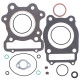 WINDEROSA (VERTEX) Прокладка TOP-END HONDA TRX 300 FOURTAX '88-'00 (TRX300)