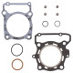 WINDEROSA (VERTEX) Прокладка TOP-END KAWASAKI KLX 300R 97-07