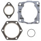 WINDEROSA (VERTEX) Прокладка TOP-END POLARIS 300 '94-99 2T