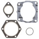 WINDEROSA (VERTEX) Прокладка TOP-END POLARIS 300 '94-99 2T