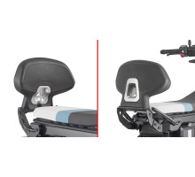 Givi, CE 02, спинка пасажира, для BMW, чорний