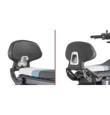 Givi, CE 02, спинка пасажира, для BMW, чорний