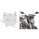 Givi скло Вітрове скло Димчасте 21x28 см HONDA CB 125 R / CB 300 R (18-19)