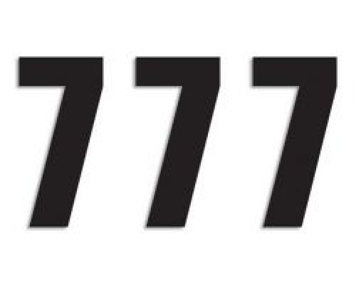 Стартові номери blackbird 16см х 7,5см прямі, колір чорний №7 (3шт) (3шт)
