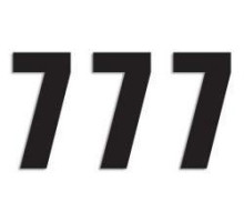 Стартові номери blackbird 16см х 7,5см прямі, колір чорний №7 (3шт) (3шт)