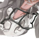 Kappa gmole гроші двигуна suzuki v-strom 250 (17-18) black