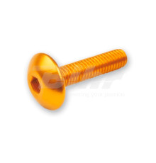 V parts (vicma) гвинти m6x15 6 шт. гвинти m6x15 6шт для кріплення вітрозахисного дефлектора золотистого кольору (ta615or)