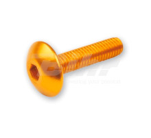 V parts (vicma) гвинти m6x15 6 шт. гвинти m6x15 6шт для кріплення вітрозахисного дефлектора золотистого кольору (ta615or)