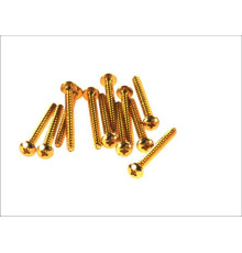 V parts (vicma) комплект болтів обтічника m5x50 (12шт) золотий колір (rc550or)