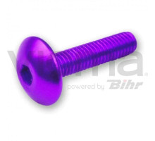 V parts (vicma) комплект болтів обтічника m6x20 (6шт) фіолетовий (шестигранник) (ta620li)