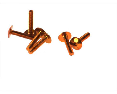V parts (vicma) комплект болтів обтічника m6x30 (6шт) золотий колір (шестигранник) (ta630g)