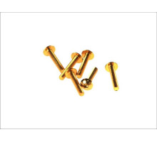V parts (vicma) комплект болтів обтічника m5x30 (6шт) золотий колір (шестигранник) (ta530or)