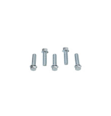 Гвинт з фланцем accel m6x20mm без маркування (5 шт.)