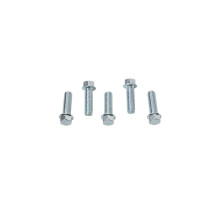 Гвинт з фланцем accel m6x20mm без маркування (5 шт.)