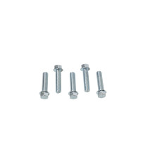 Гвинт із фланцем accel m6x25mm без маркування (5 шт.)