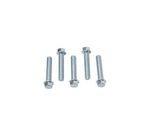 Гвинт з фланцем accel m6x30mm без маркування (5 шт.)