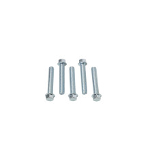 Гвинт з фланцем accel m6x35mm без маркування (5 шт.)