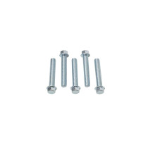 Гвинт з фланцем accel m6x35mm без маркування (5 шт.)