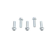 Гвинт accel m8x25mm фланцевий з увігнутою головкою без маркування (5 шт.)
