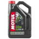 Motul engine oil 5100 4t ester 10w30 4л
