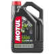 Motul engine oil 5100 4t ester 10w50 4л