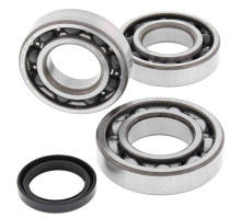 All balls підшипники коленвала з Прокладкими harley-davidson / polaris magnum / trail boss 325/330