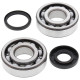 All balls підшипники коленвала з Прокладкими husqvarna wr 250 '99-'13, cr250 '99-'04, wr300 '08-'13