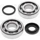 All balls підшипники коленвала з Прокладкими husqvarna wr 250 '99-'13, cr250 '99-'04, wr300 '08-'13