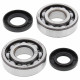 All balls підшипники коленвала з сальниками kawasaki kx 250 '80-'86, kdx 250 '80-'84